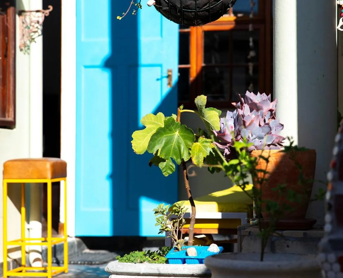 Guest house Ami Vine House Hotel Cape Town